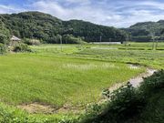 いもほり観光農園の写真3