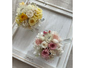 CHOUETTE BLANCの写真4