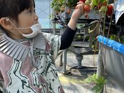 おおのきファームの写真3