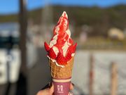 すえひろファームの写真3