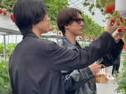 NewBerry -ニューベリー-の写真3