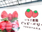 いちご農園ぐっど・べりーの写真2