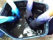 琉球藍染ちょく工房の写真3