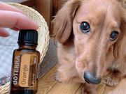 Aroma Savon.Melissaの写真3