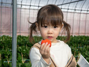 berry's farm SAKURAの写真3