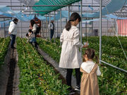 berry's farm SAKURAの写真4