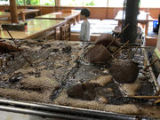 静岡市 梅ヶ島温泉 湯元屋の写真2