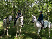 Riding club Ciel bleu Yatsugatakeの写真2