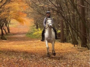 Riding club Ciel bleu Yatsugatakeの写真3