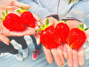 奏の森 なごみ villageの写真2