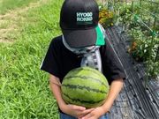 コミュニケーションファクトリーの写真2