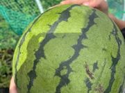 コミュニケーションファクトリーの写真3