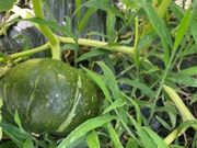 コミュニケーションファクトリーの写真4