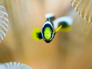南紀大島DIVE ISLANDの写真3