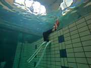 EcoBlueOceanの写真2