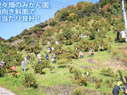 観音山フルーツガーデンの写真2