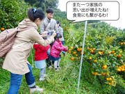 観音山フルーツガーデンの写真3