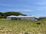 THE RED mountain berry farmの写真2