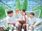 おりがみ農園の写真3