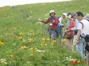 礼文はなガイドクラブの写真3