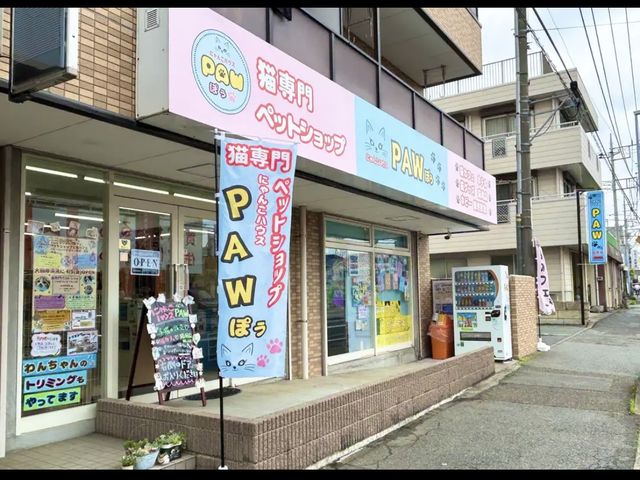 にゃんこハウスPAW
