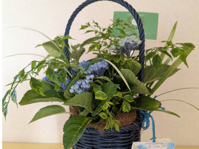 室内で楽しむギャザリング寄せ植え_Scent of Gardenia