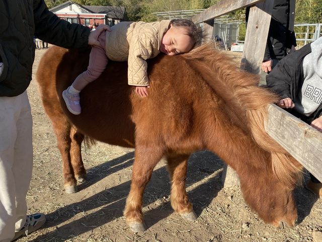 ノーマ・ホースヴィレッジ