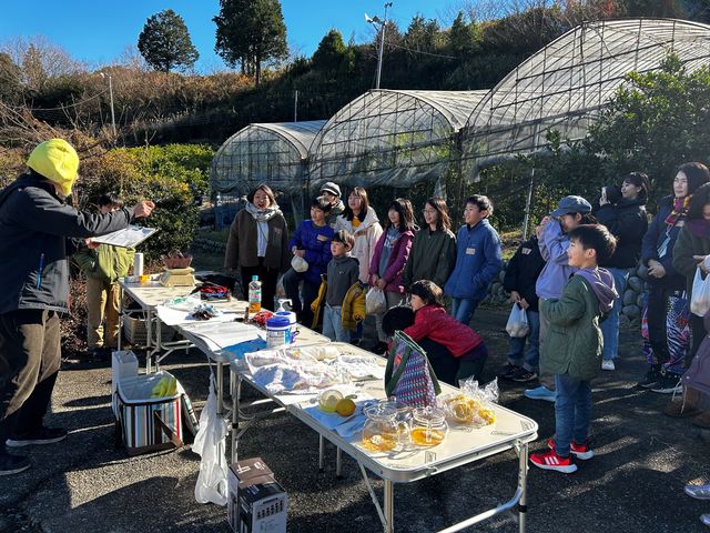 レモン園では収穫しながらみんなで楽しめるイベントも実施予定です!レモンの香りに包まれながら皆さんの手でレモンを収穫してみてください。_若手生産者団体OUEN