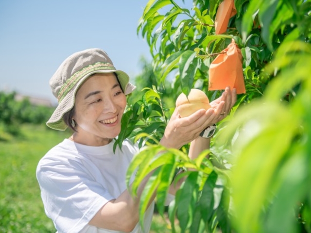 季節によって異なる品種が収穫できます。_果樂