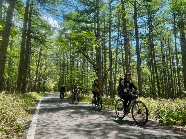 NIKKO CYCLING Ciel(日光サイクリング シエル)