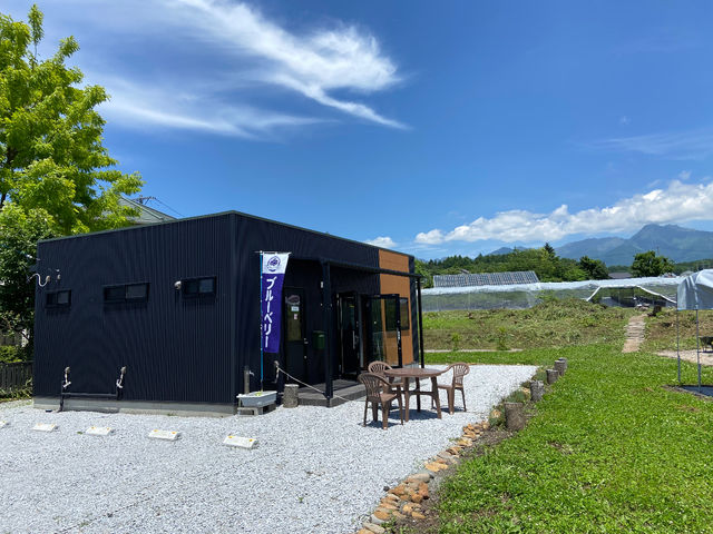 ブルーベリー狩り受付の事務所と休憩コーナー_原村の山麓ブルーベリー農園