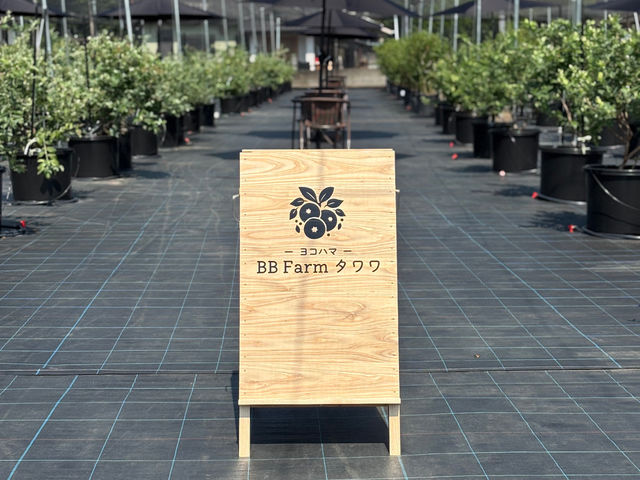 BB Farm タワワ