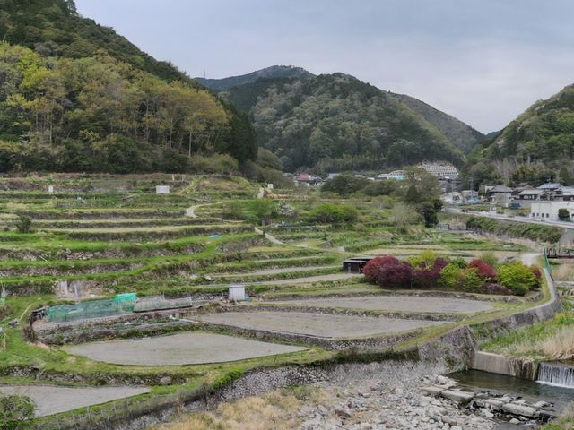 とどろみの景色_とどろみの里