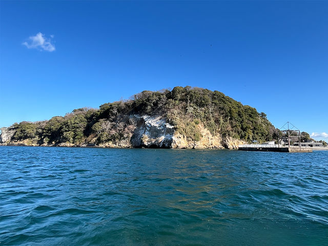 MM21ばかりが横浜ではありません!リクエストで猿島ルートでの教習も可能です。_JMRAボートドライビング 【横浜ベイサイドマリーナ〜みなとみらい】