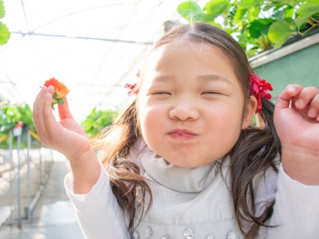 高設栽培で楽々♪_UluuGardensSAGA
