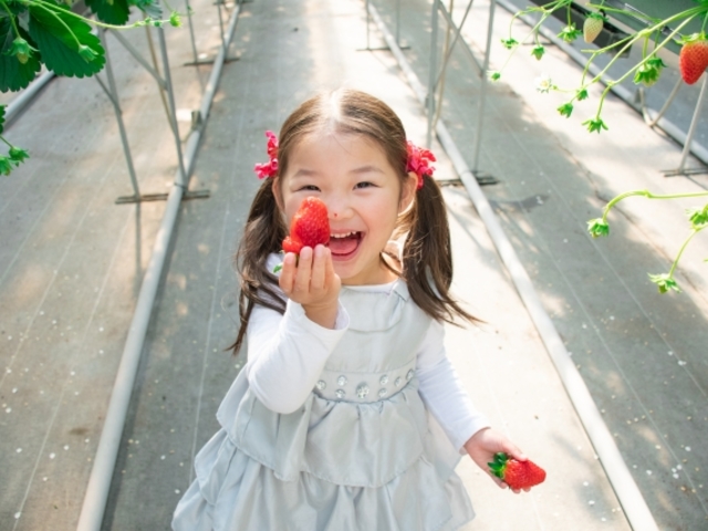 4年連続じゃらん九州人気いちご狩り施設グランプリ「うるう農園」の姉妹店_UluuGardensSAGA