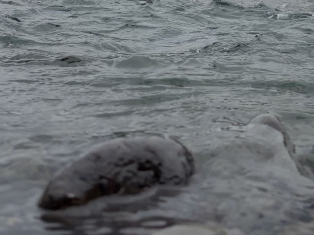 水風呂は川にダイブも可能!
流れが早いのでお気をつけてお入りください!_一棟貸しサウナ付き別荘