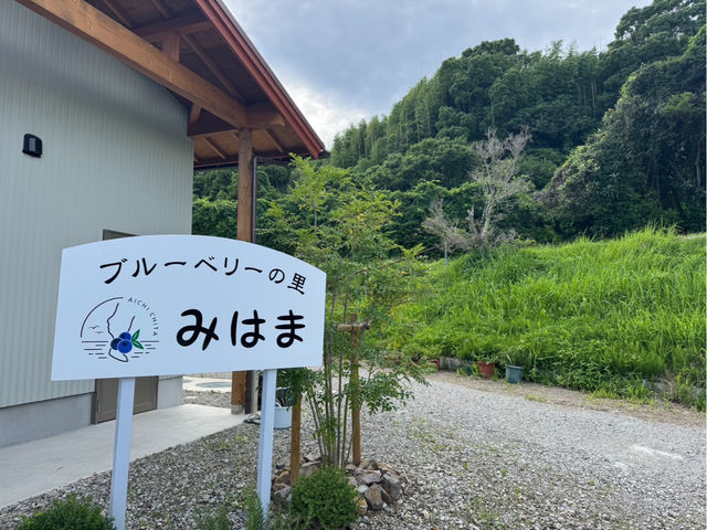 ブルーベリーの里みはま