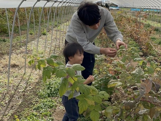 川上農園(ニッポンルーバス)
