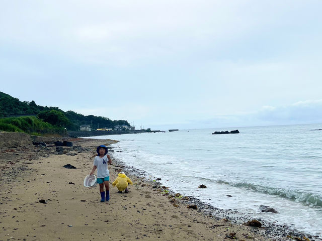 天草リアルクエスト 天草海鮮蔵