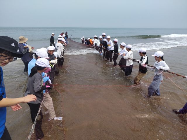 遠浅海岸で地引網体験_一般社団法人スポーツコミッションかほく