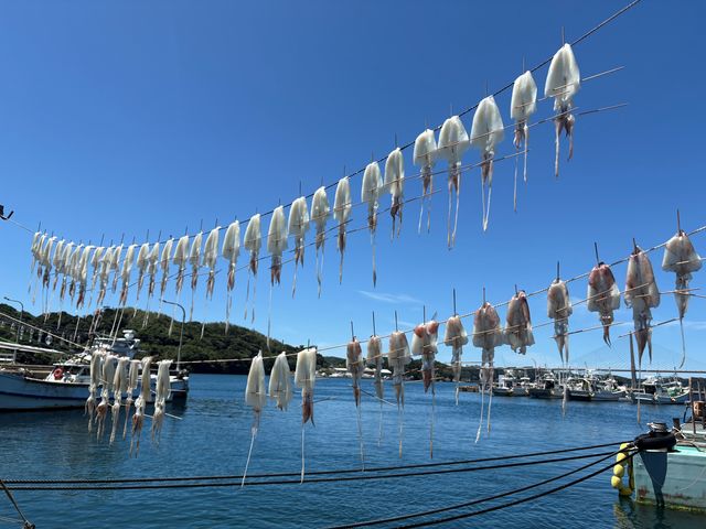 呼子名物イカの干物_呼子台場 大漁鮮華