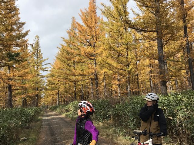 KTR Cycling Tour