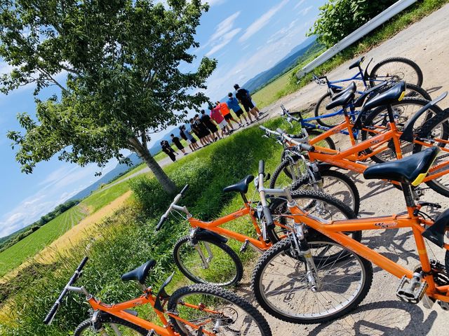 KTR Cycling Tour
