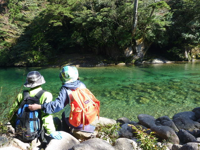 屋久島の輪