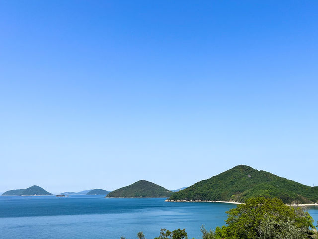 瀬戸内海に浮かぶ粟島(あわしま)が、海の向こうに穏やかに佇みます。_荘内半島オリーブ農園