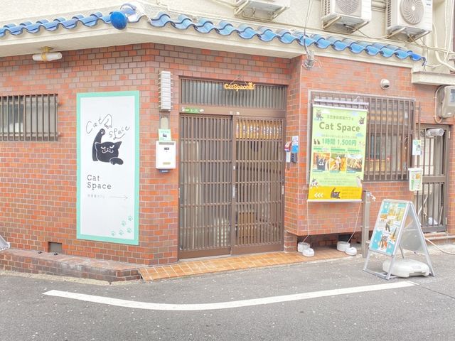 保護猫カフェ Cat Space