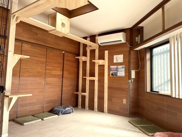 保護猫カフェ Cat Space