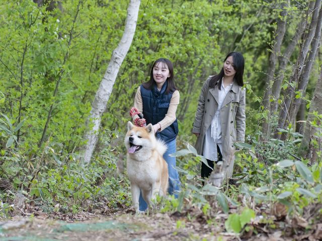 緑いっぱいの森の中を秋田犬と一緒にお散歩してリフレッシュ♪_一般社団法人ヘルスケアデザイン秋田