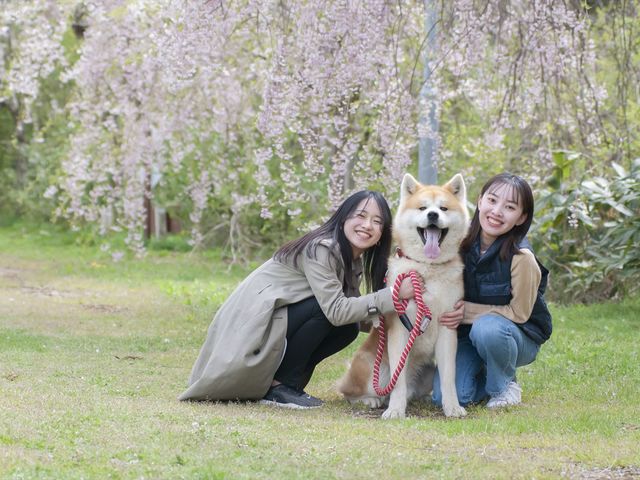 秋田犬と一緒に記念写真も撮れます。季節によって違った景色も楽しめます。_一般社団法人ヘルスケアデザイン秋田